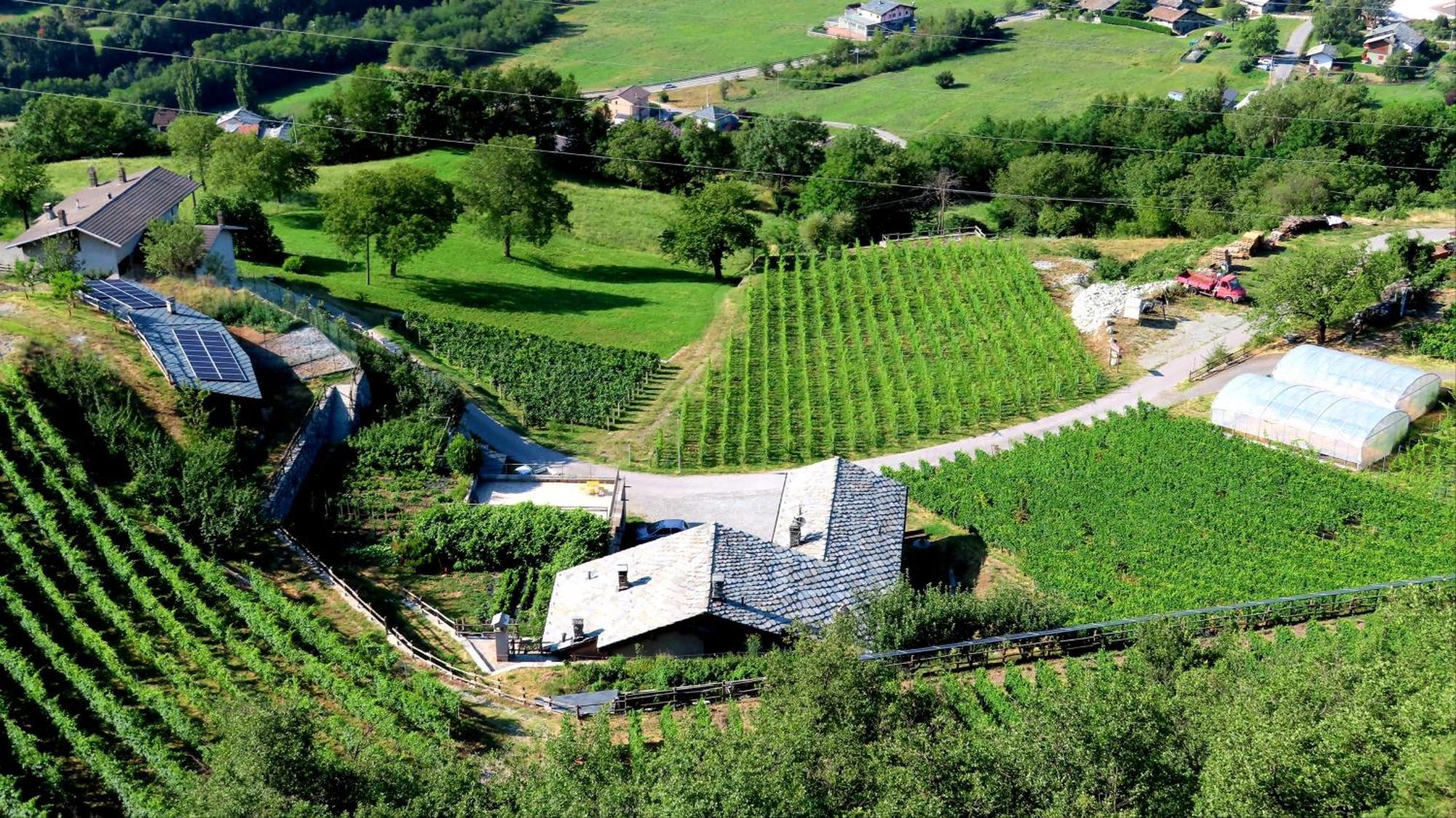 La Vrille - Chambres D'Hotes Verrayes 外观 照片