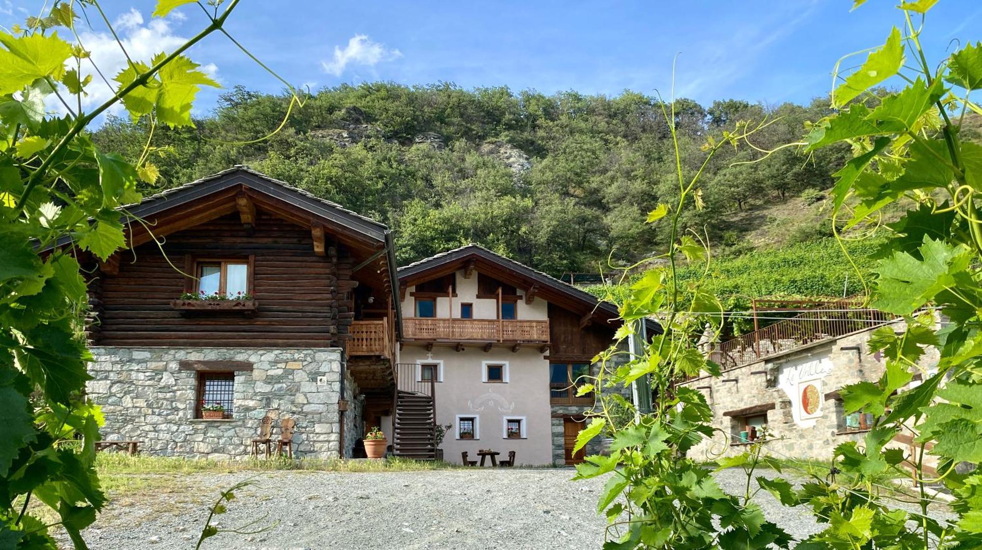 La Vrille - Chambres D'Hotes Verrayes 外观 照片