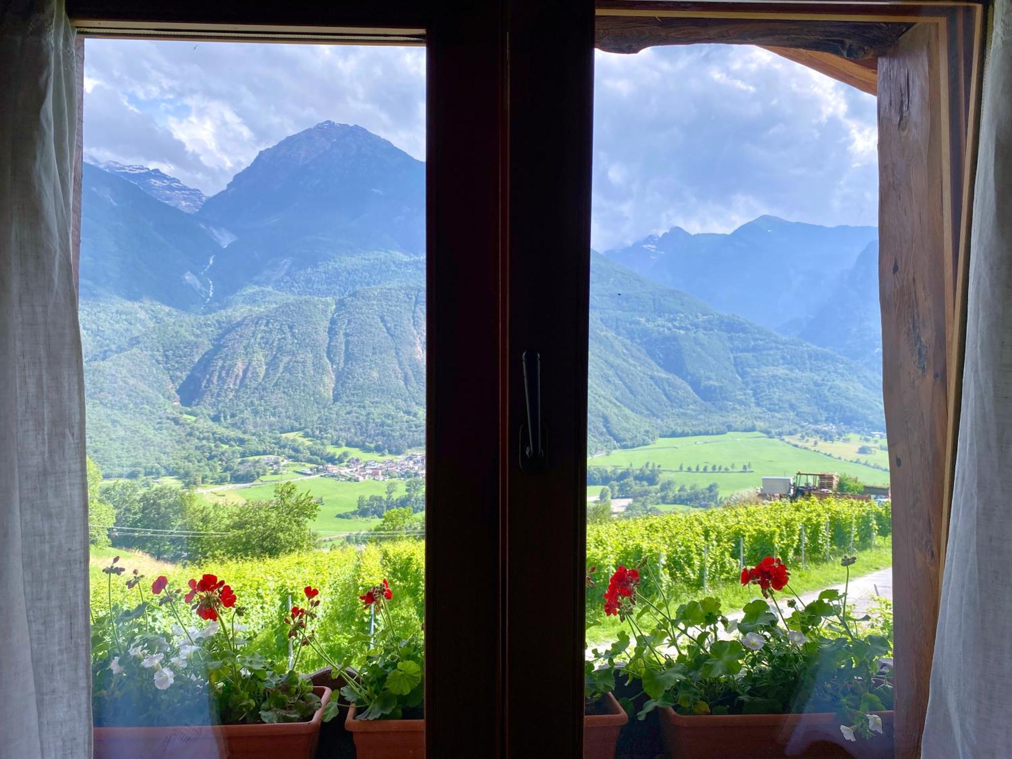 La Vrille - Chambres D'Hotes Verrayes 外观 照片